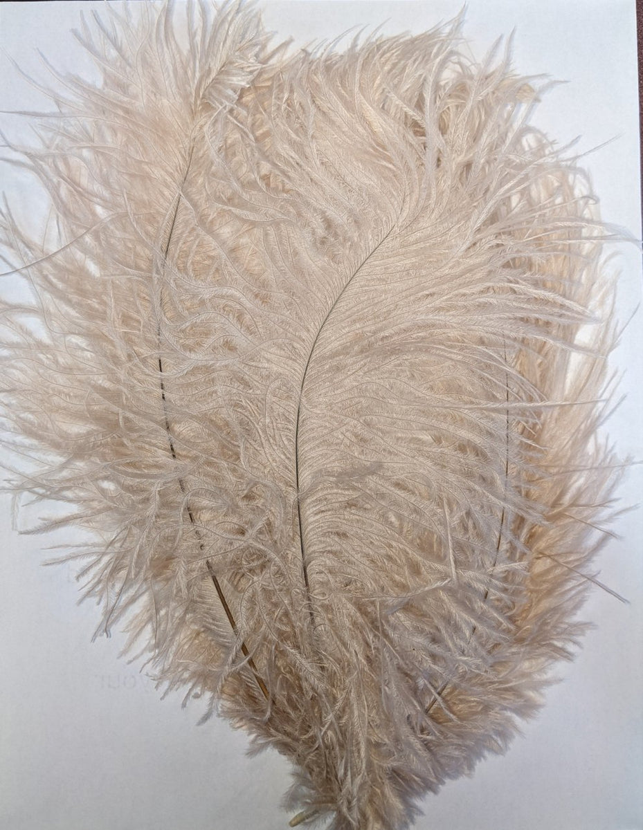 Beige ostrich online feathers