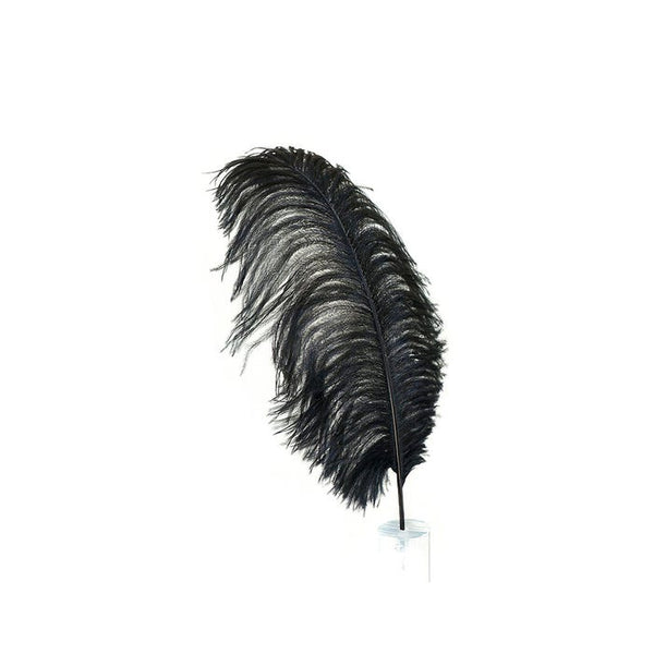 Pluma de avestruz (negra)