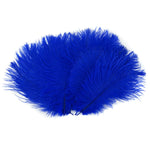 Pluma de avestruz (azul real)