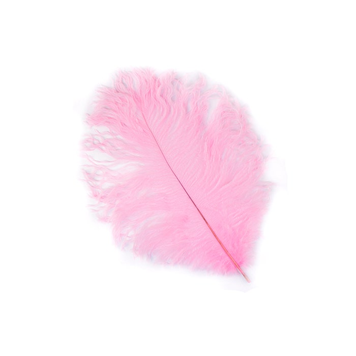 Ostrich Feathers: Ostrich Plumes or Ostrich Drabs - Events Wholesale