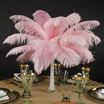 Pluma de avestruz (rosa claro)